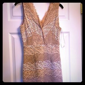 Lulus mauve/tan lace dress